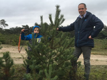 Zaag zelf je kerstboom om