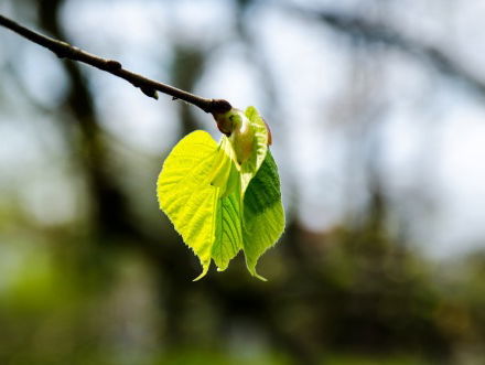 Stadsdichter Lilian Zielstra dit weekend weer op de planken