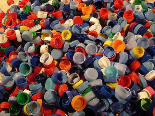 Help Tara en vader Eddy met doppen verzamelen