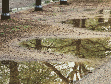 Het KNMI zoekt regenmeters