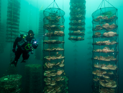 Tentoonstelling Future of Food