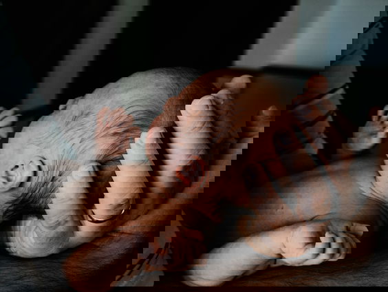 Wereld van Toen: een geboren zesling in Leiden