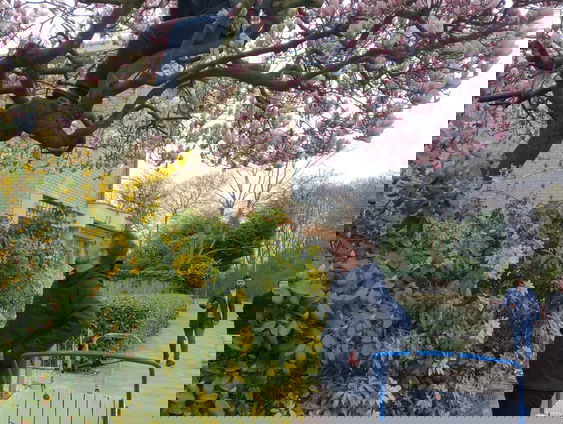 'Magnoliasiroop smaak naar rood fruit en is een beetje bitter.'