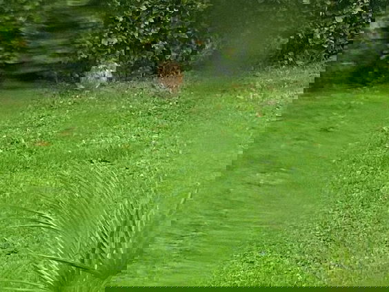 Je hebt een schuilplaats nodig