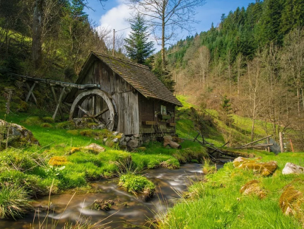 Reset de natuur zich?