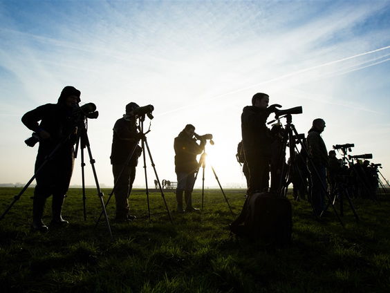 De nieuwe vogelaar is een groot gevaar!