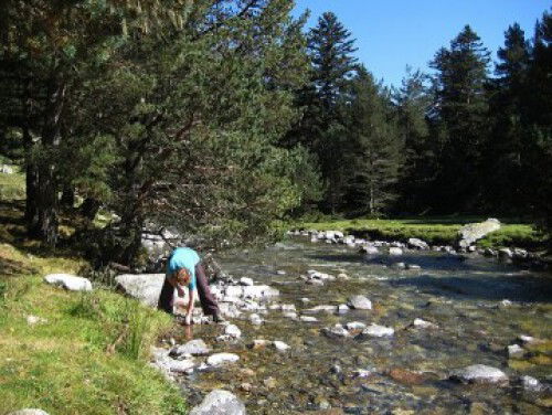 Katarina Vermeulen over De steen
