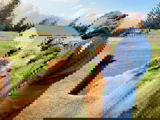 HZD: Waarom spugen lama's?