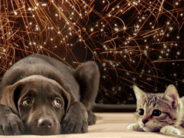 Vuurwerkverbod werkt ook niet in België, zegt burgemeester van Genk