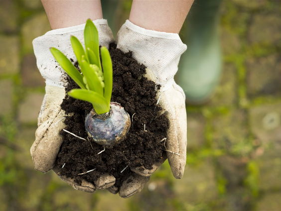 Ga dit weekend lekker naakt je tuin in!