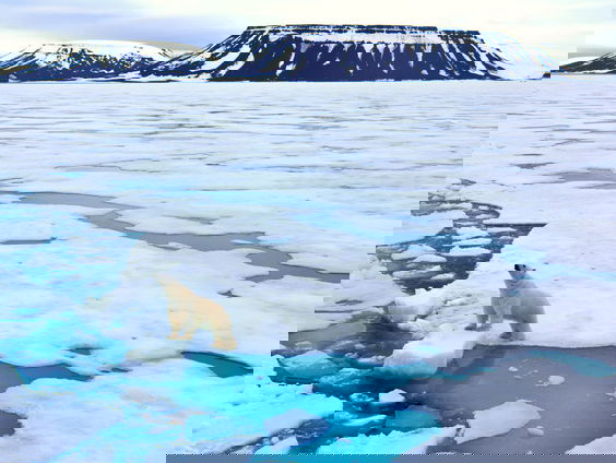 Erik Verheul wil naar de poolcirkel om een Nederlandse gedenksteen op te knappen