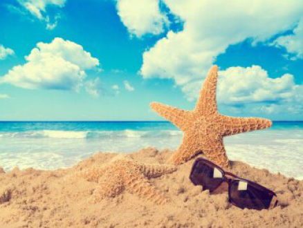 Opzoek naar Zomervermaak? De MAX! helpt je op weg