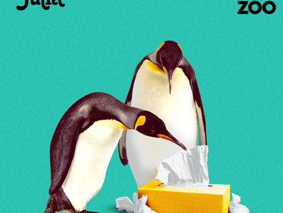 Nieuwe single: Sam & Julia - Crying At The Zoo