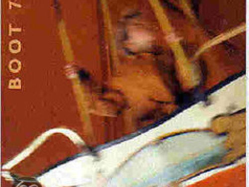 Griep - Gerard van Maasakkers