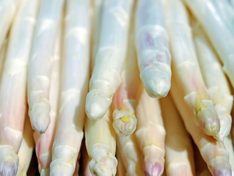 ''Binnen 2 weken zijn er weer asperges en dat is een record''