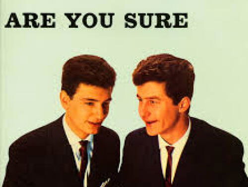 Are you sure - The Allisons