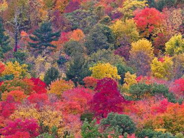 Oudewijvenzomer - het blijft mooi weer