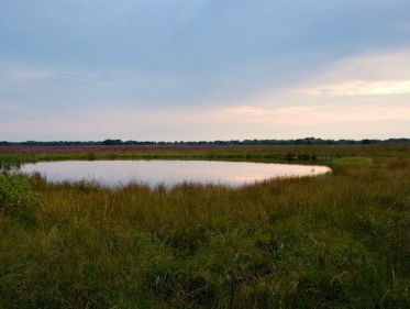 Martine Dubois met collega Evert Thomas naar een pingo