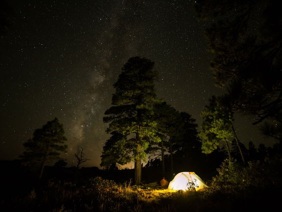 Zzp'ers zonder werk starten boscamping in Drenthe