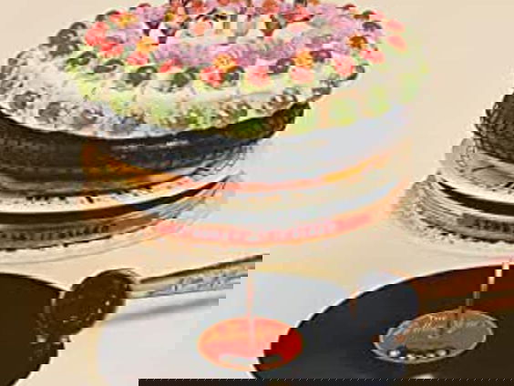 Leo Blokhuis over Let it bleed van Rolling Stones