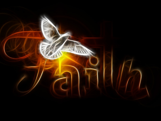 2019 recordjaar voor bijbelverspreiding