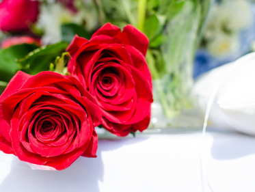 Pieternel Dane zoekt haar ex-verloofde Roel