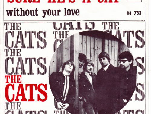 Piet Veerman over de Jaren Zestig