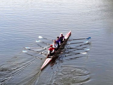 Row, Row, Row Your Boat