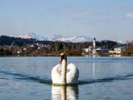 Rivieren worden schoongemaakt op Wereld Waterdag
