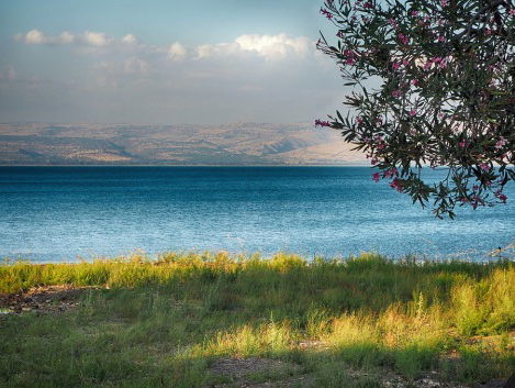 5000 mensen hadden meer dan genoeg