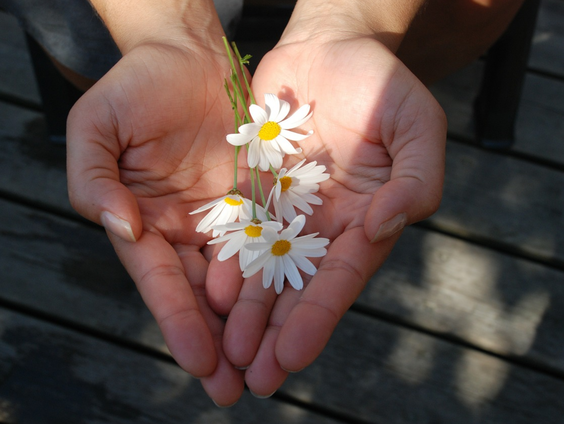 Het leven is een cadeau