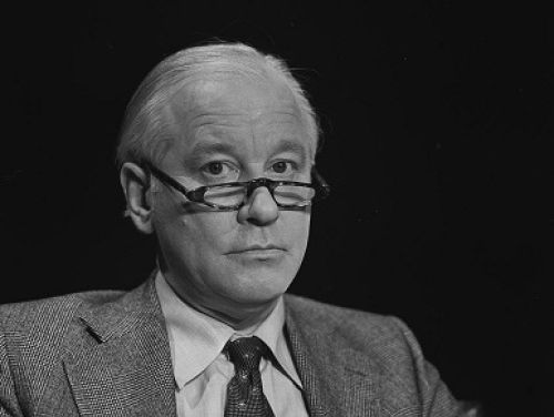 Ton den Boon over het taalgebruik van Michel van der Plas