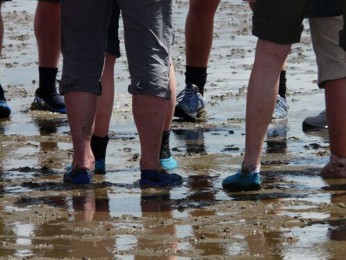 De Waddenvereniging ontwikkelt een speciale wadloopschoen