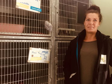 Dierendag in de dierenopvang