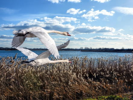 Even weg van alle spanning