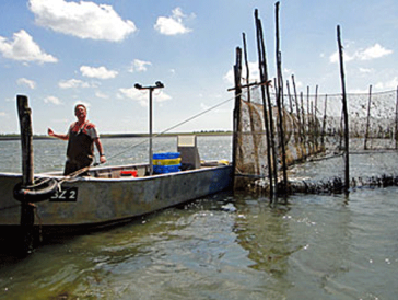 De natuur in: weervisserij dreigt te verdwijnen