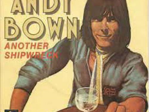 Another shipwreck - Andy Bown