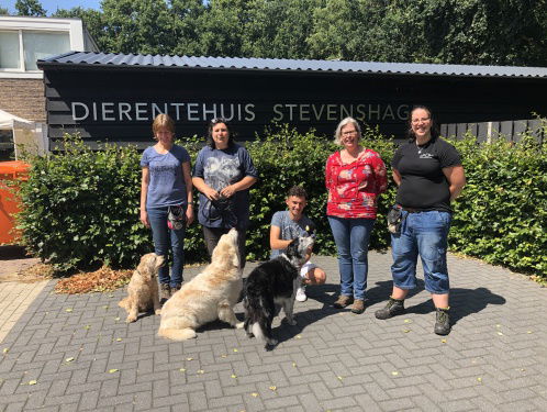 Verslaggever Yves de Bruin helpt mee in het dierenasiel