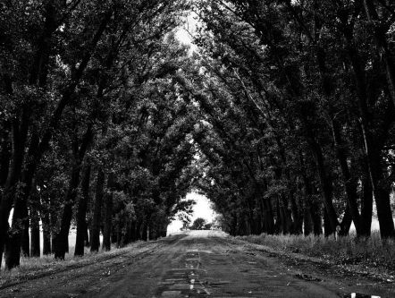 Van bolwerk naar boulevard