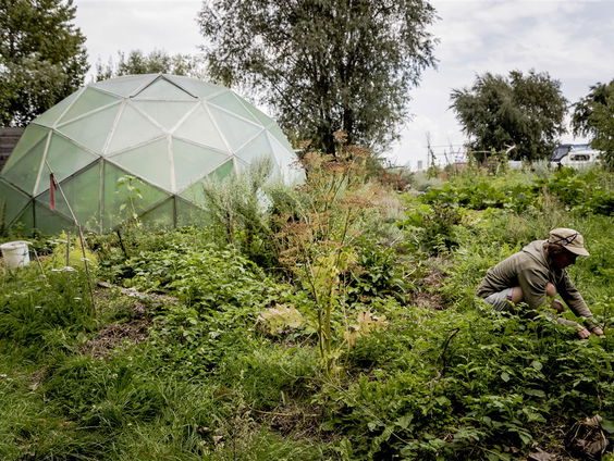 De Held die thuis bleef