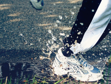 Hardlopen en genieten van de Veluwe!