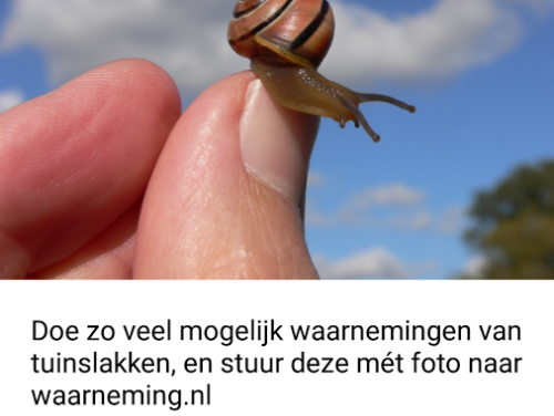 Naturalis: 'Maak een foto van slakken'