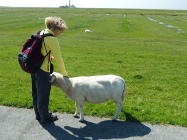Pelgrimsroute langs Friese kerken