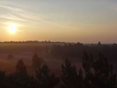 Landscapes of Utrecht