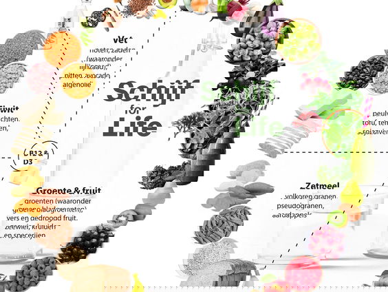 Niet de Schijf van Vijf, maar De Schijf For Life is de toekomst!