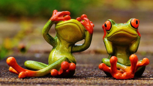 Waar komt 1 april toch vandaan? | NPO Radio 5