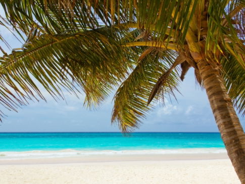 Frank Oostdam van het ANVR geeft een update over de reisbranche