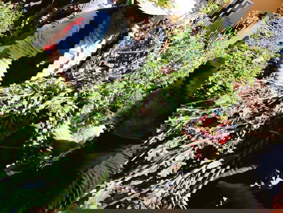 Dementerende ouderen knappen tuinen op