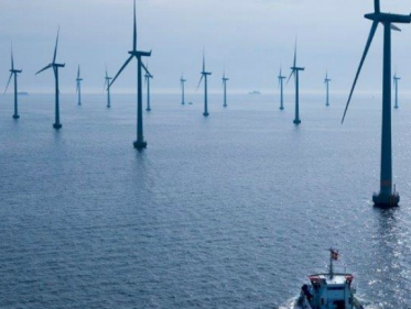 Nederland moet groener volgens 90 professoren