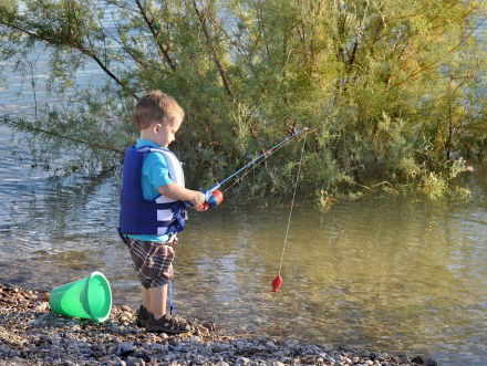 Pulsvissers trekken aan het kortste eind